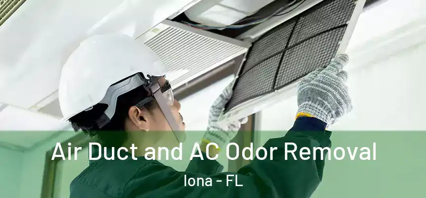 Air Duct and AC Odor Removal Iona - FL
