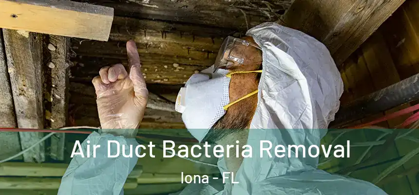 Air Duct Bacteria Removal Iona - FL