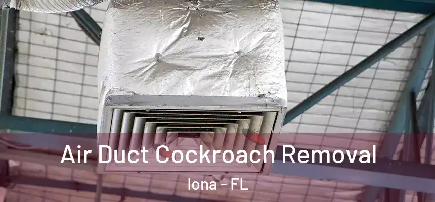 Air Duct Cockroach Removal Iona - FL
