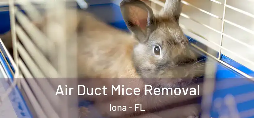 Air Duct Mice Removal Iona - FL