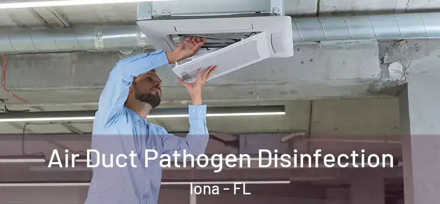 Air Duct Pathogen Disinfection Iona - FL