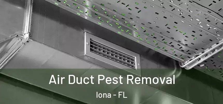 Air Duct Pest Removal Iona - FL