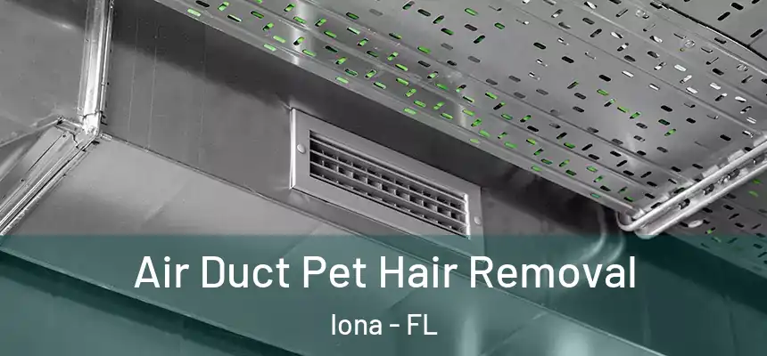 Air Duct Pet Hair Removal Iona - FL