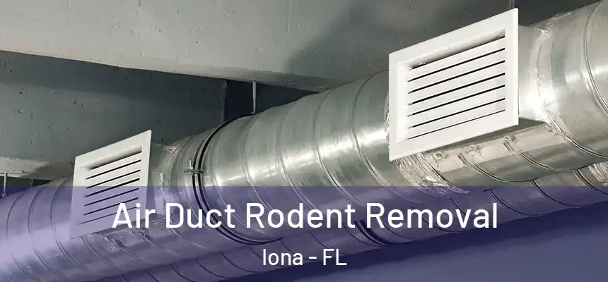 Air Duct Rodent Removal Iona - FL