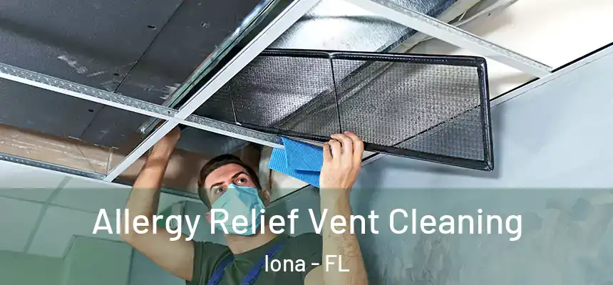 Allergy Relief Vent Cleaning Iona - FL