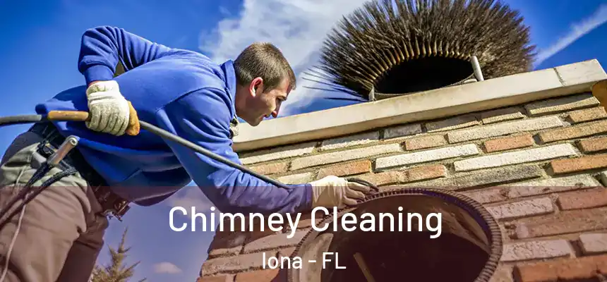 Chimney Cleaning Iona - FL