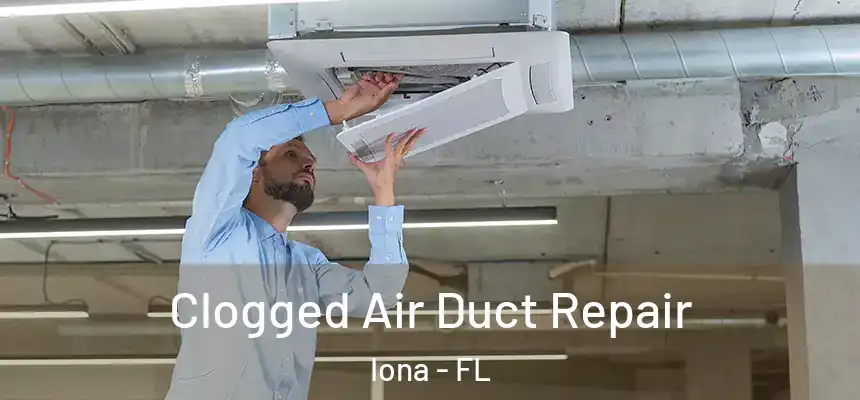 Clogged Air Duct Repair Iona - FL