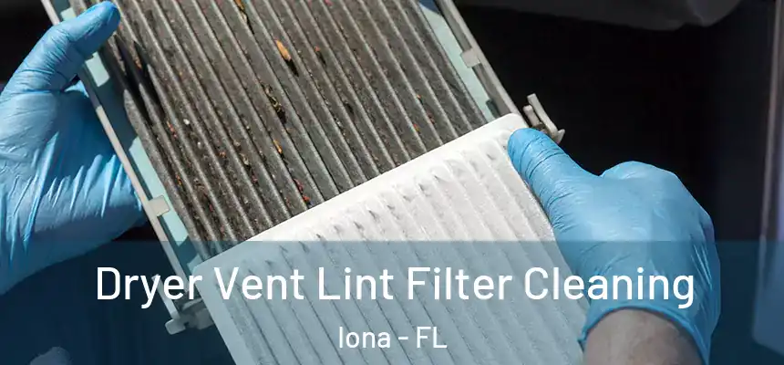 Dryer Vent Lint Filter Cleaning Iona - FL