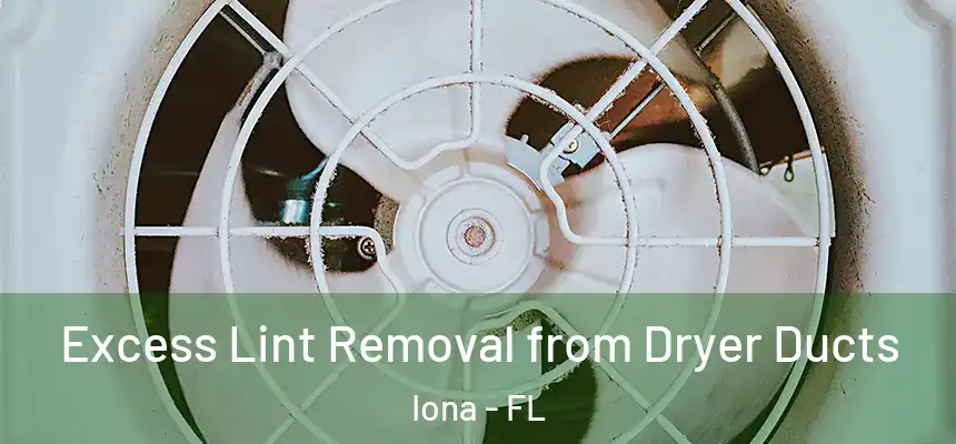 Excess Lint Removal from Dryer Ducts Iona - FL