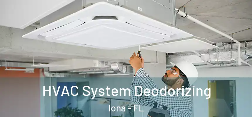 HVAC System Deodorizing Iona - FL