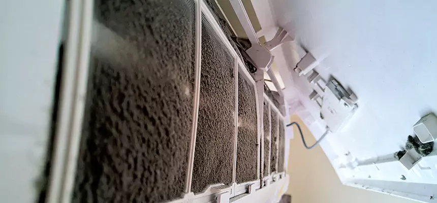 Preventive Air Duct Bacteria Removal in Iona