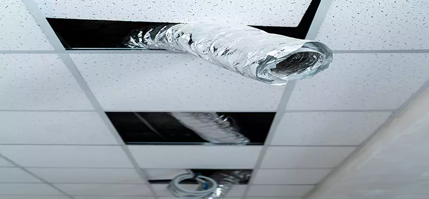 Affordable HVAC Sanitizing After Pest Removal in Iona