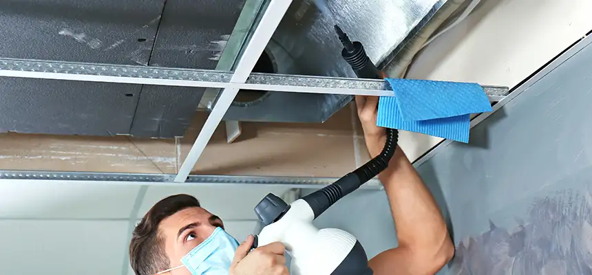 Our Air Duct Rodent Removal Services in Iona, FL