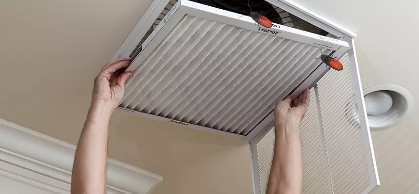 Our Insect Removal from Air Ducts Services in Iona, FL