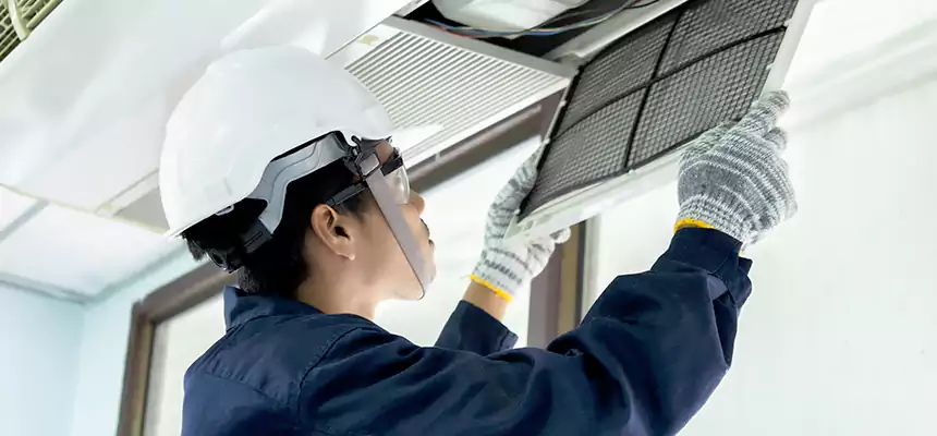 Our Mold & Mildew Removal from Air Ducts Services in Iona, FL