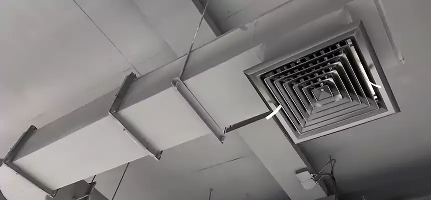 Our Pest Removal From Ducts Services in Iona, FL