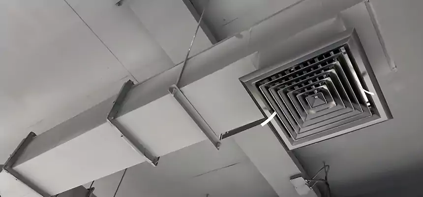 Our Rodent Droppings In Vents Services in Iona, FL