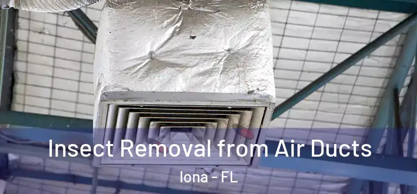 Insect Removal from Air Ducts Iona - FL