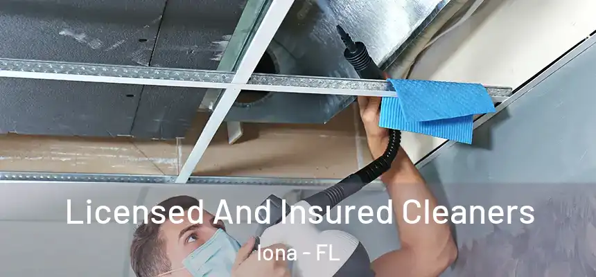 Licensed And Insured Cleaners Iona - FL