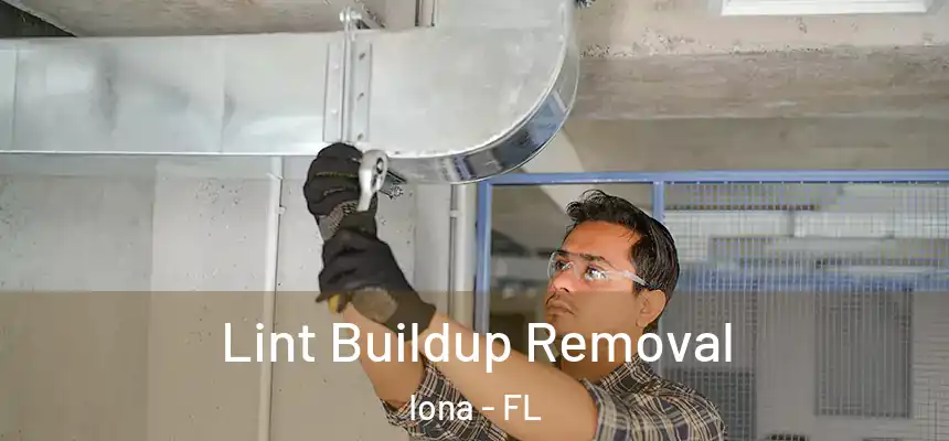 Lint Buildup Removal Iona - FL