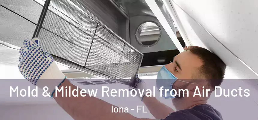 Mold & Mildew Removal from Air Ducts Iona - FL
