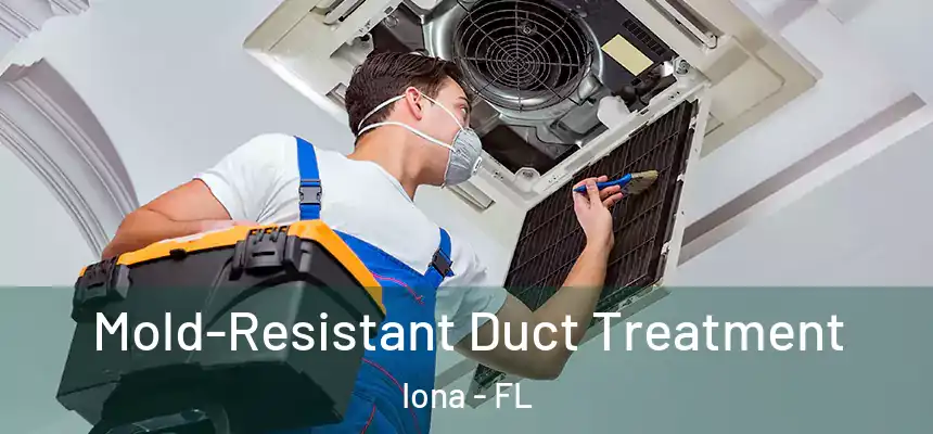 Mold-Resistant Duct Treatment Iona - FL