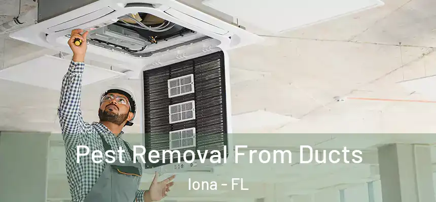 Pest Removal From Ducts Iona - FL