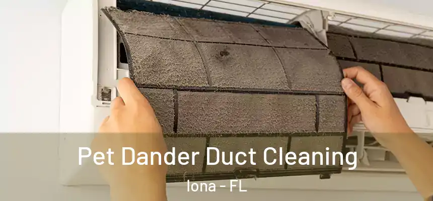 Pet Dander Duct Cleaning Iona - FL