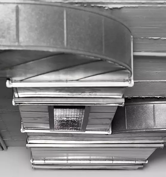 Professional Air Duct Pest Removal in Iona, FL