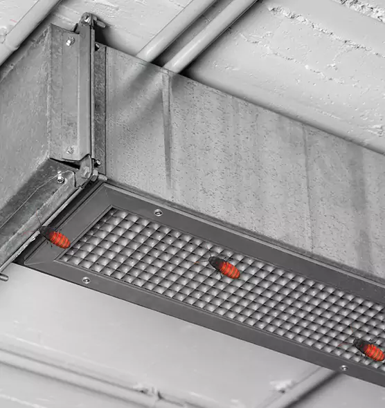 Affordable Insect Removal from Air Ducts in Iona, FL