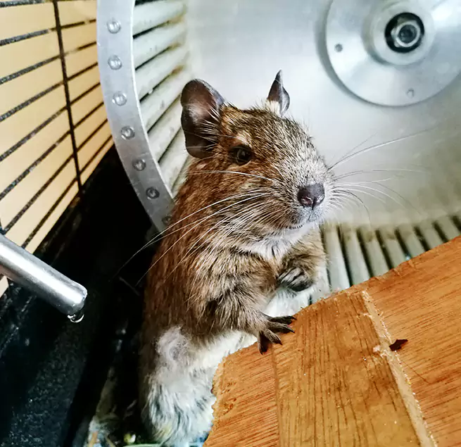 Why Homeowners & Businesses Trust Us Iona, FL?