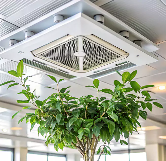 Why Homeowners & Businesses Trust Us in Iona, FL?