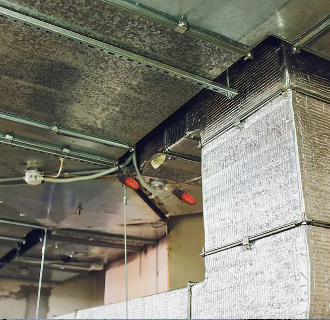 Why Homeowners & Businesses Trust Us Iona, FL?