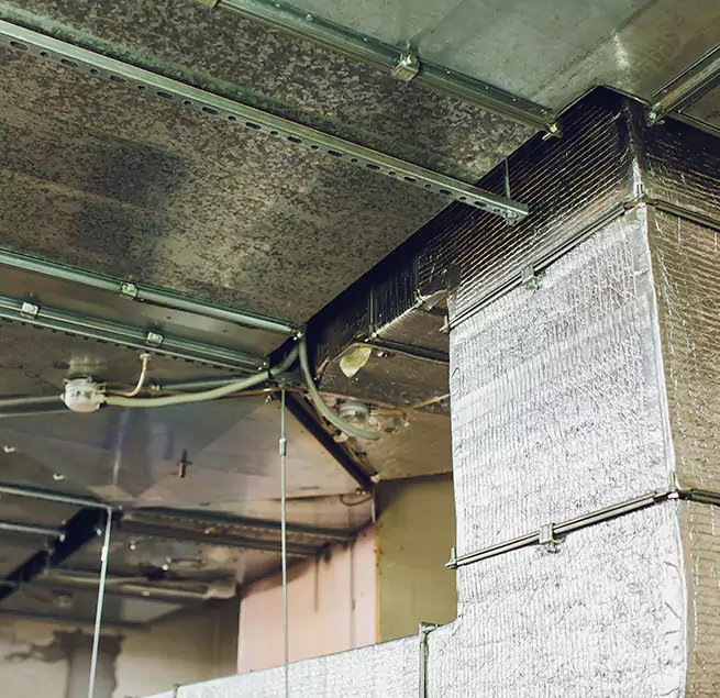 Why Homeowners & Businesses Trust Us in Iona, FL?