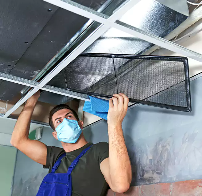 Why Homeowners Businesses Trust Us in Iona, FL