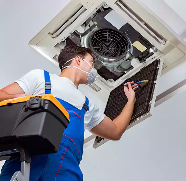 Why Homeowners & Businesses Trust Us in Iona, FL?