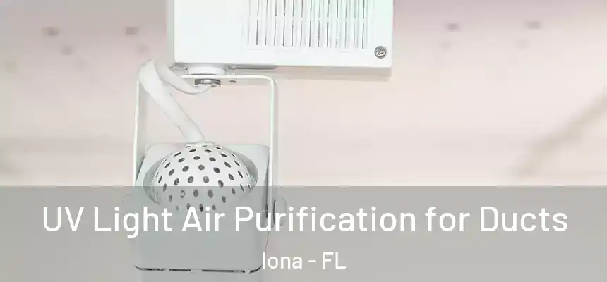 UV Light Air Purification for Ducts Iona - FL